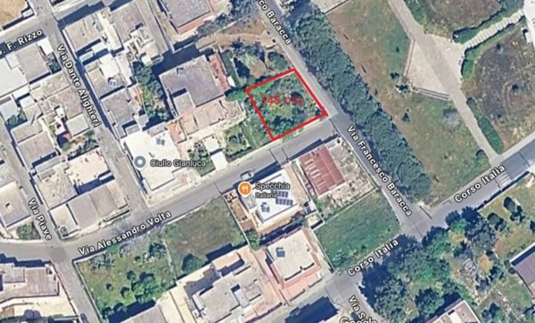 terreno agricolo in vendita a Specchia