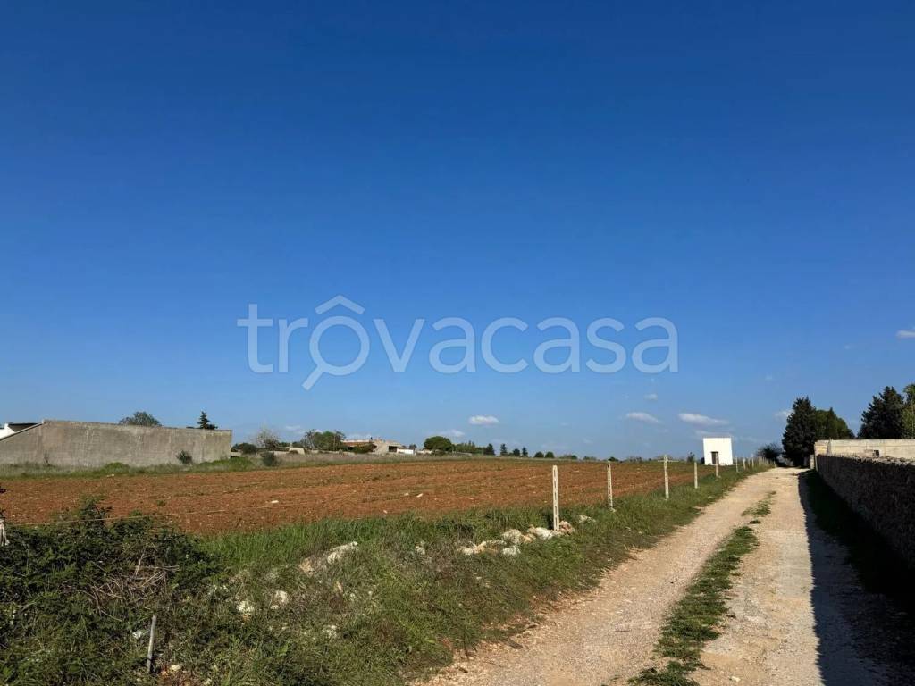 terreno agricolo in vendita a Specchia