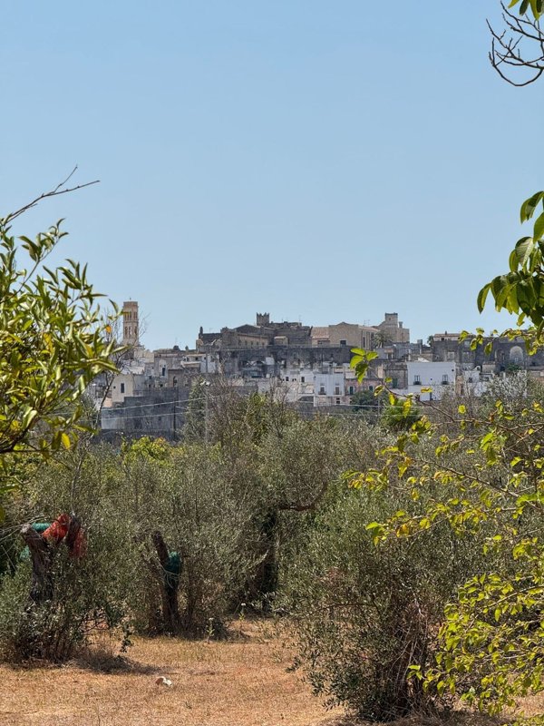 appartamento in vendita a Specchia