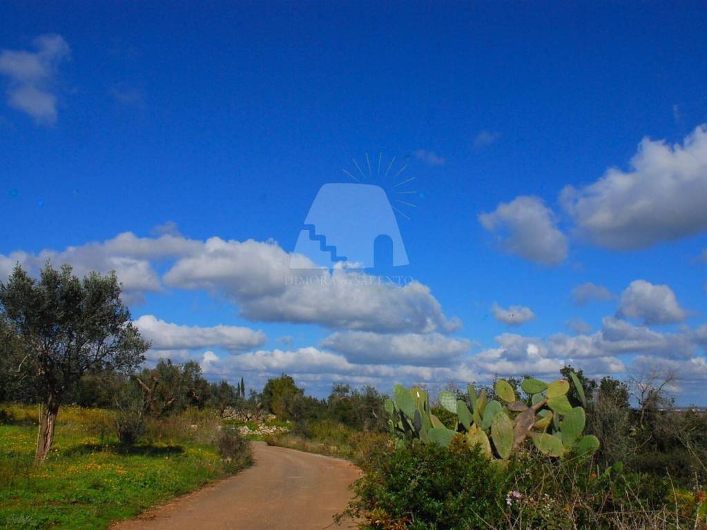 terreno agricolo in vendita a Specchia