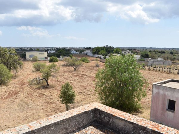 terreno agricolo in vendita a Specchia