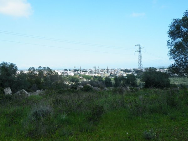 terreno agricolo in vendita a Specchia