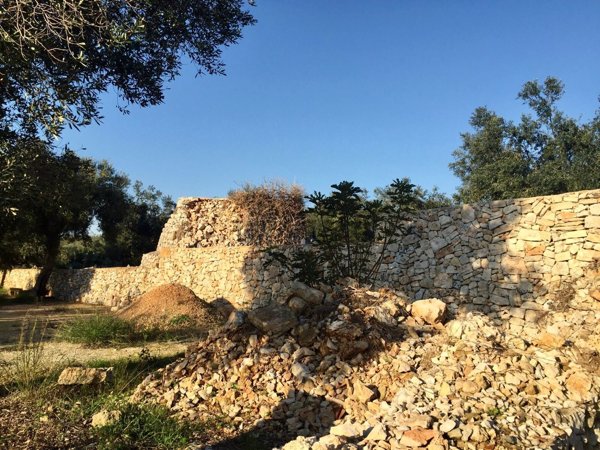 appartamento in vendita a Specchia