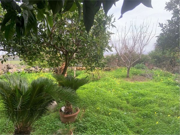 casa indipendente in vendita a Specchia