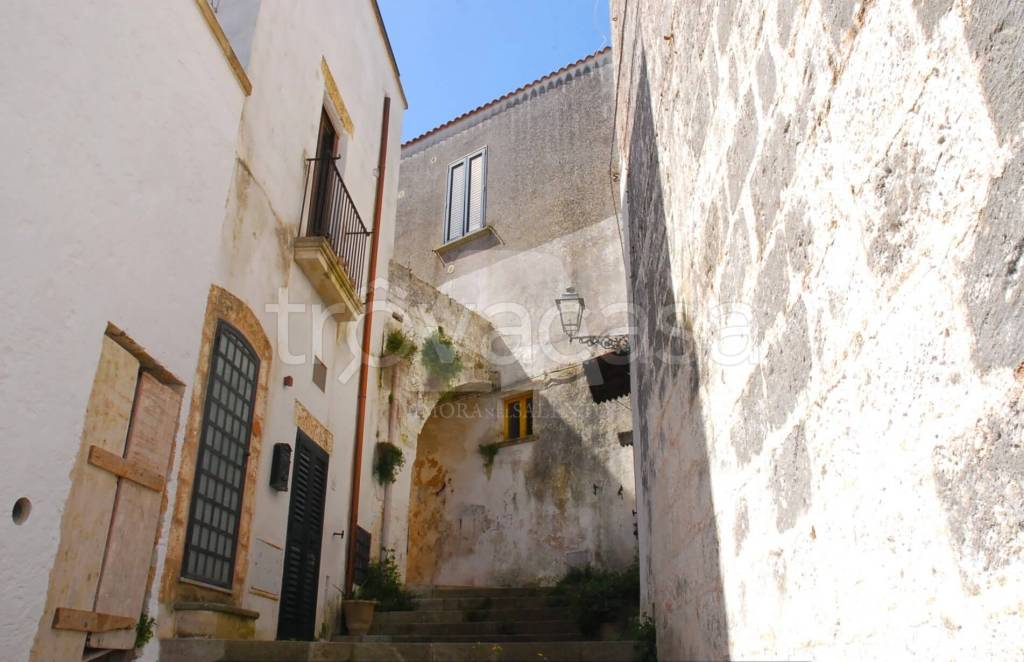 casa indipendente in vendita a Specchia