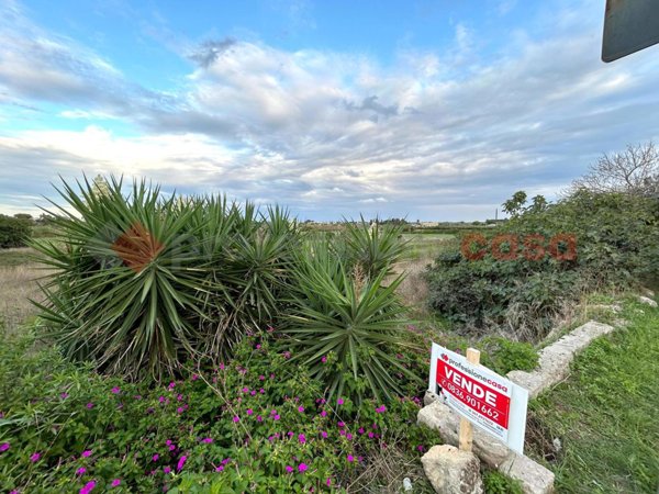 ufficio in vendita a Specchia