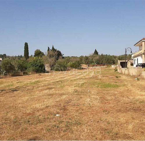 terreno agricolo in vendita a Specchia