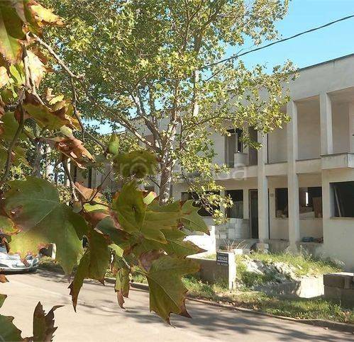 casa indipendente in vendita a Specchia