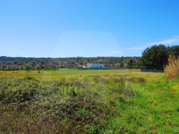 terreno agricolo in vendita a Specchia