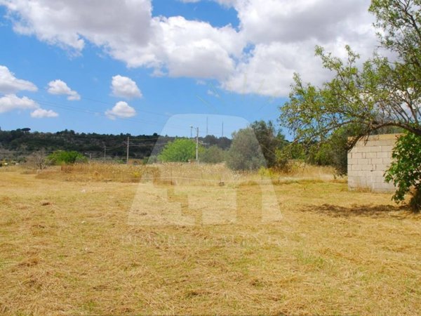 terreno agricolo in vendita a Specchia