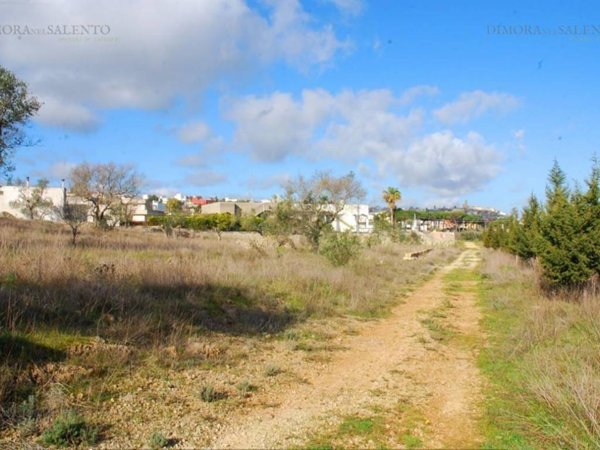 terreno agricolo in vendita a Specchia