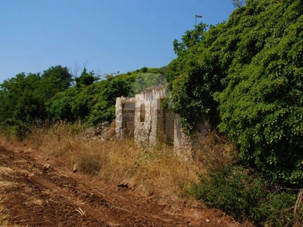 terreno agricolo in vendita a Specchia