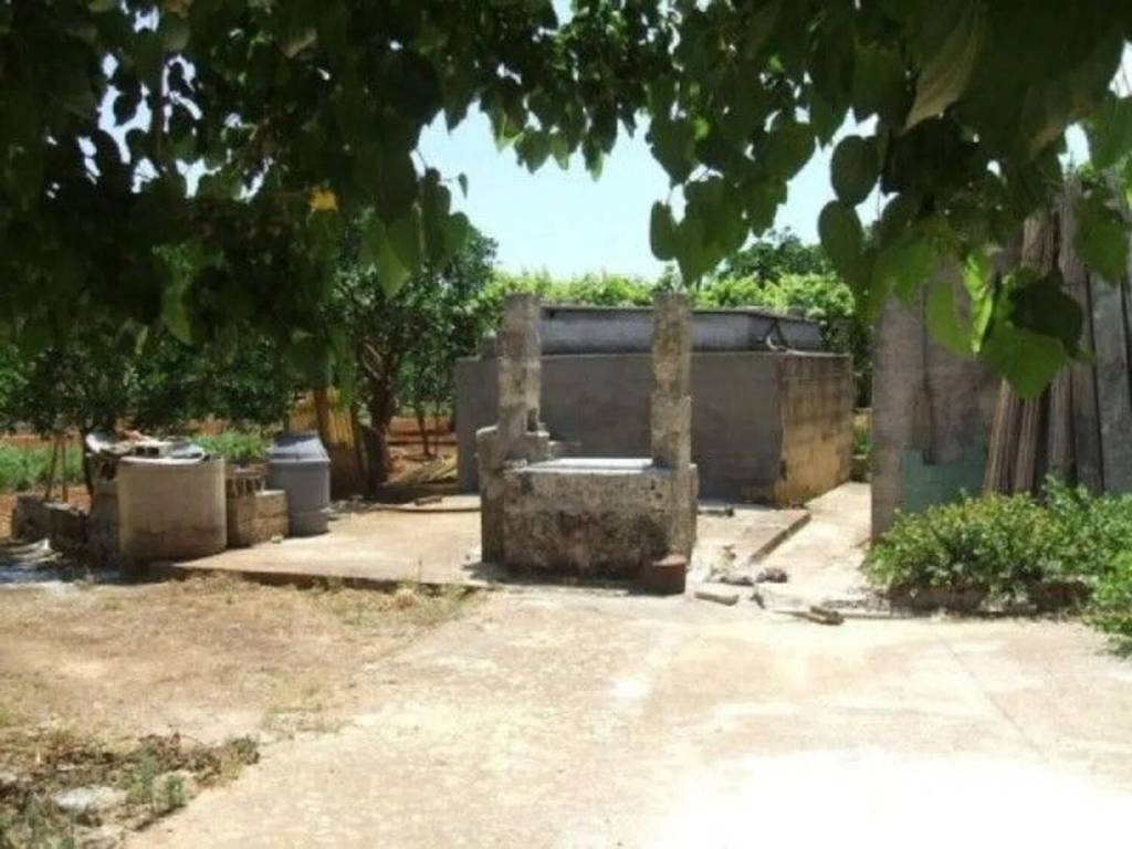 casa indipendente in vendita a Specchia
