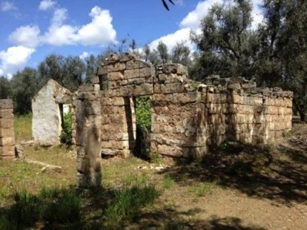 terreno agricolo in vendita a Specchia