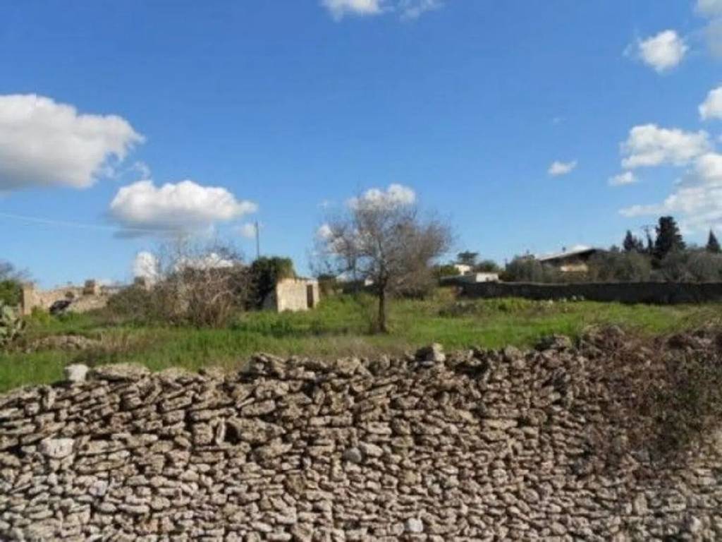 terreno agricolo in vendita a Specchia