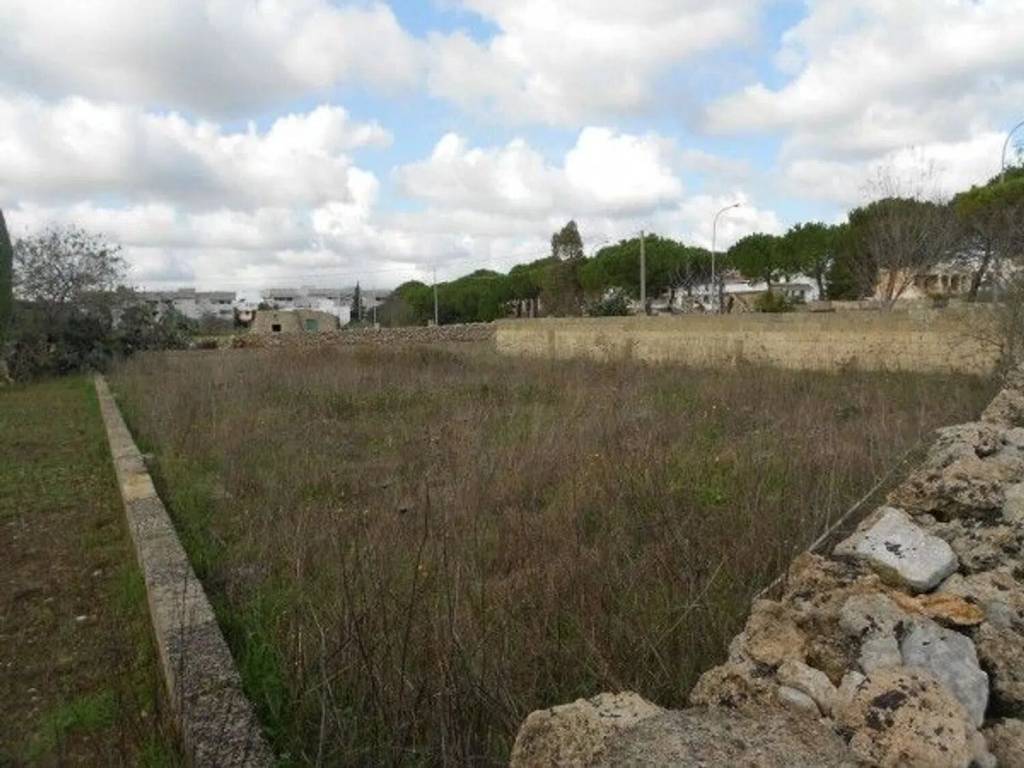 terreno agricolo in vendita a Specchia