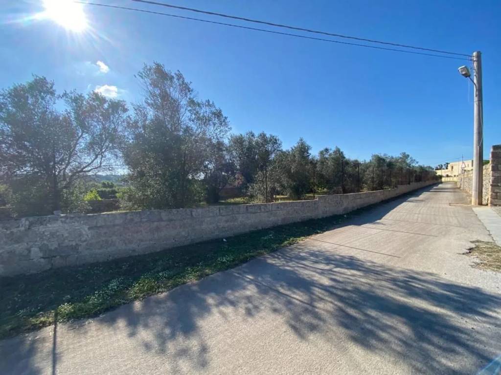 terreno agricolo in vendita a Specchia