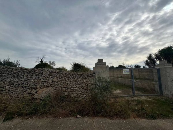 terreno agricolo in vendita a Specchia