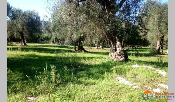casa indipendente in vendita a Spongano