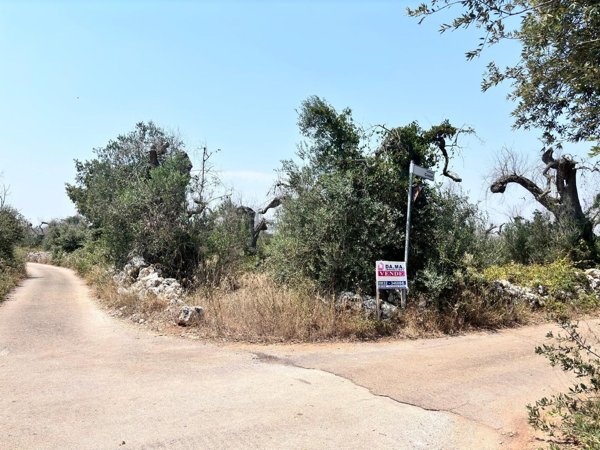terreno in vendita a Spongano
