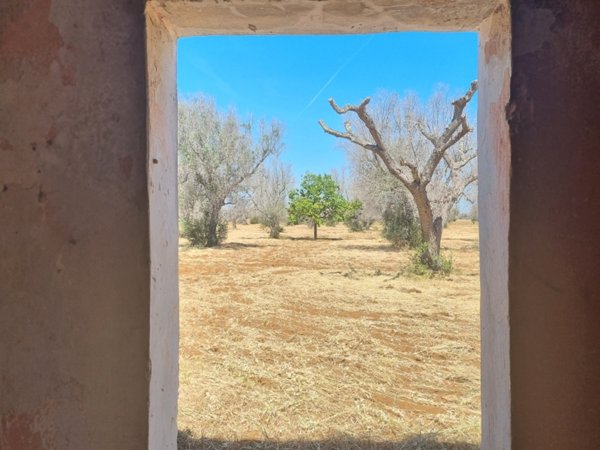 casa indipendente in vendita a Squinzano