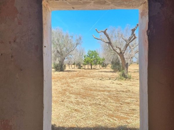 casa indipendente in vendita a Squinzano