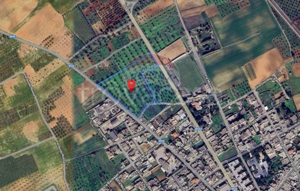 terreno agricolo in vendita a Squinzano