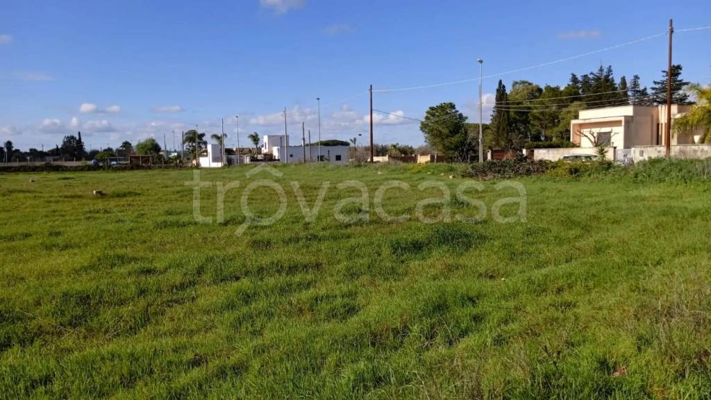 terreno agricolo in vendita a Squinzano