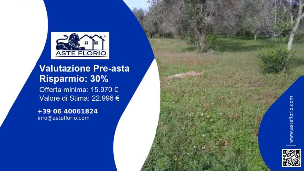 terreno agricolo in vendita a Squinzano