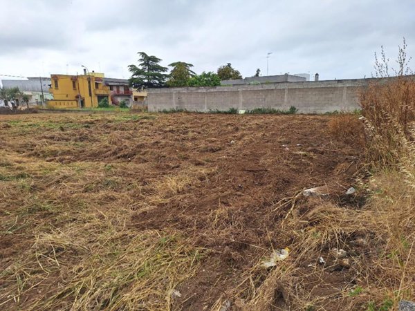 terreno agricolo in vendita a Squinzano