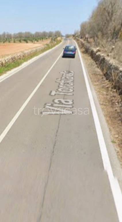 terreno agricolo in vendita a Squinzano