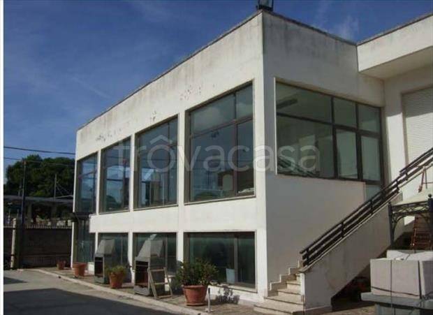 negozio in vendita a Squinzano