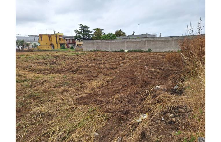 terreno agricolo in vendita a Squinzano