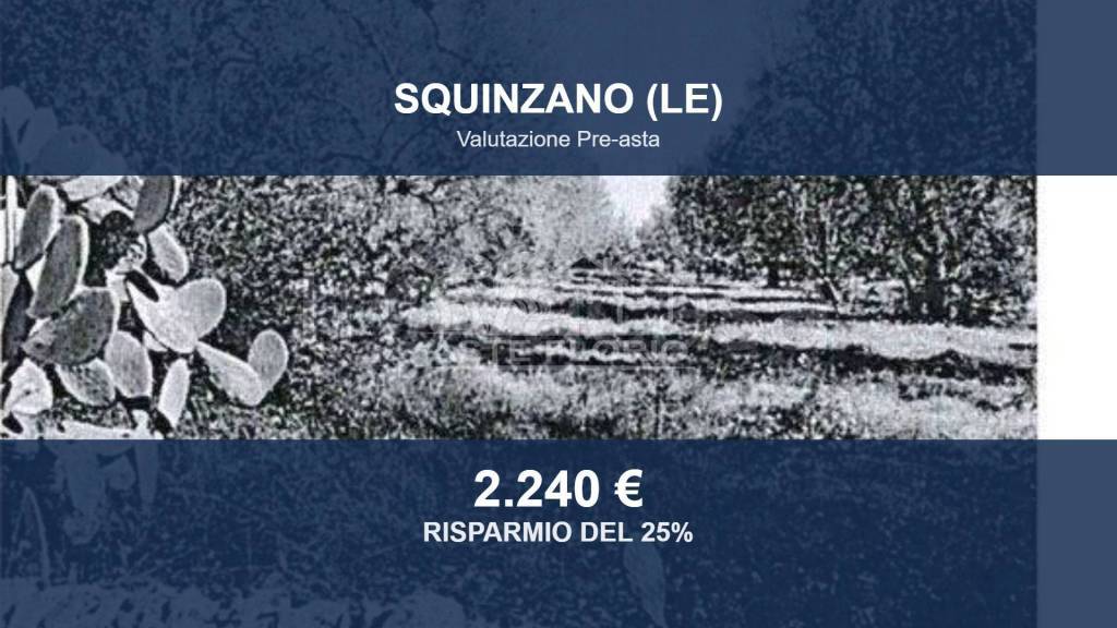 terreno in vendita a Squinzano