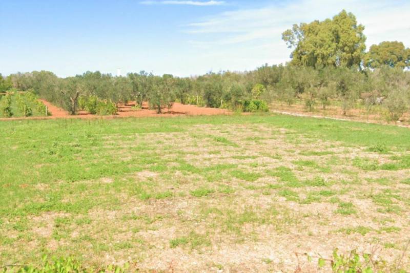 terreno agricolo in vendita a Supersano