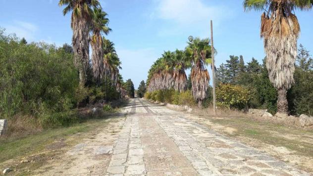 casa indipendente in vendita a Supersano