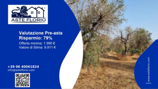 terreno agricolo in vendita a Supersano