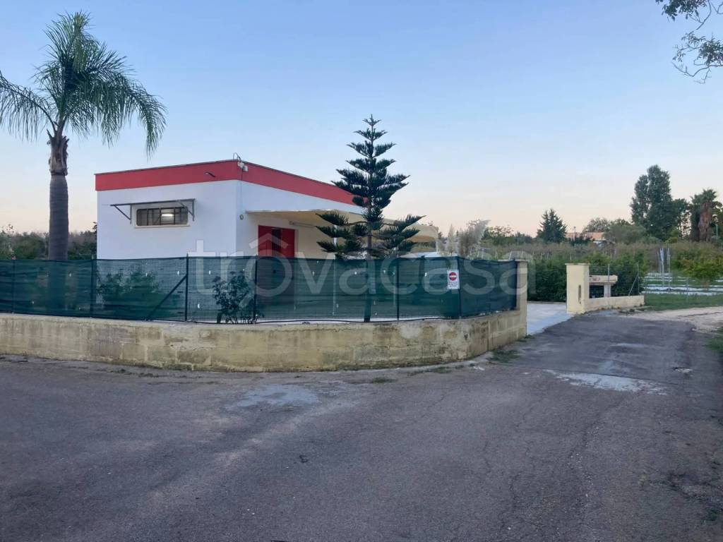 terreno agricolo in vendita a Supersano