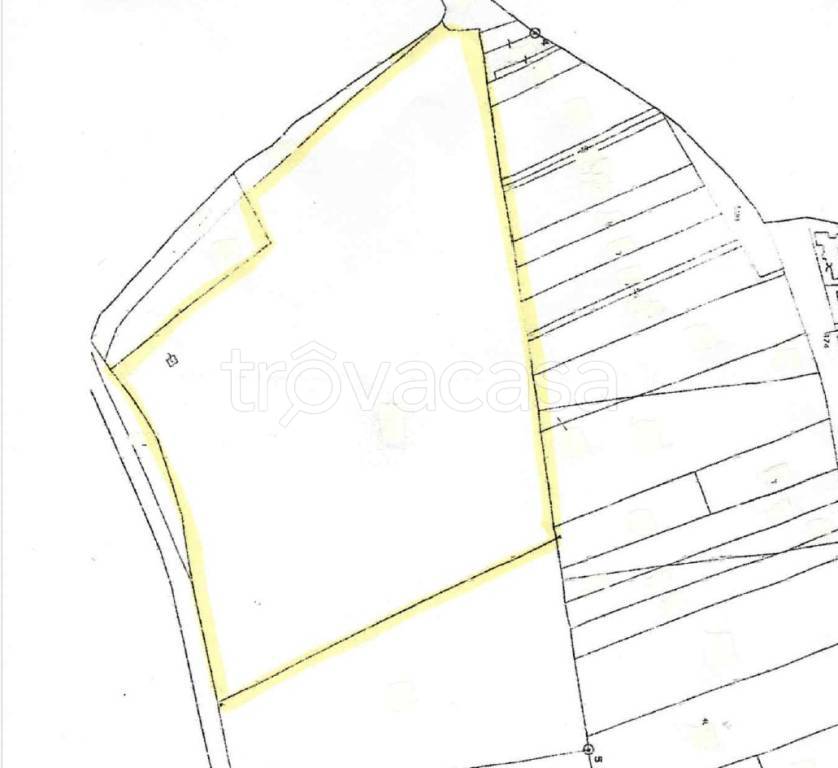 terreno agricolo in vendita a Supersano