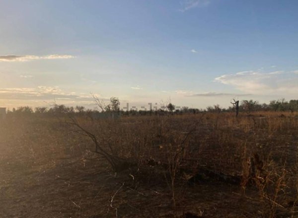 terreno agricolo in vendita a Supersano