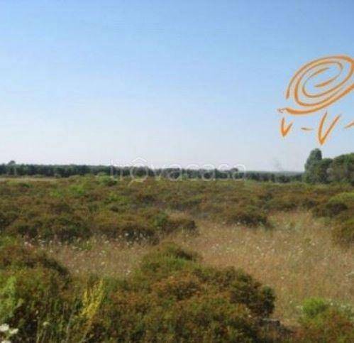 terreno agricolo in vendita a Supersano