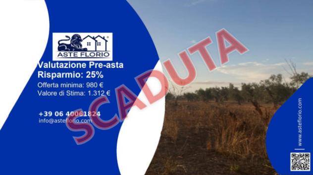 terreno agricolo in vendita a Supersano
