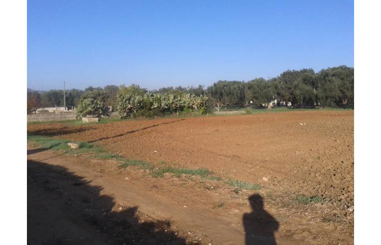 terreno agricolo in vendita a Supersano