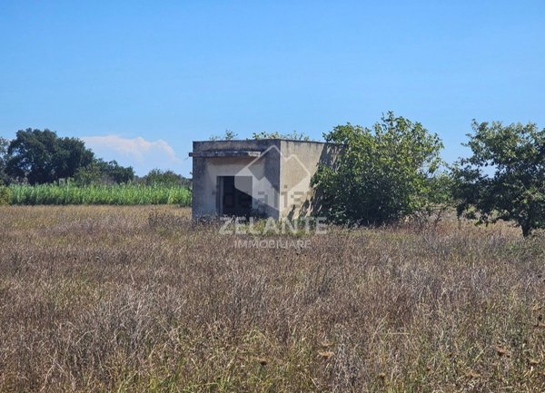 terreno in vendita a Supersano