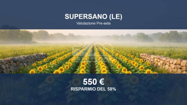 terreno agricolo in vendita a Supersano