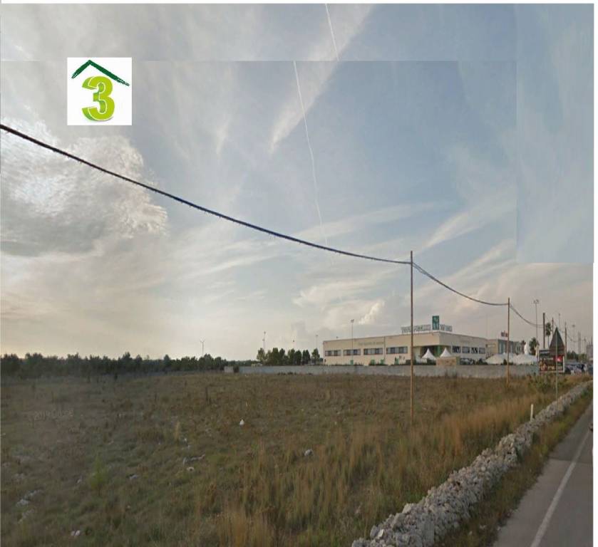terreno agricolo in vendita a Surano