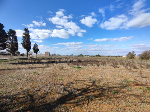 terreno agricolo in vendita a Surano