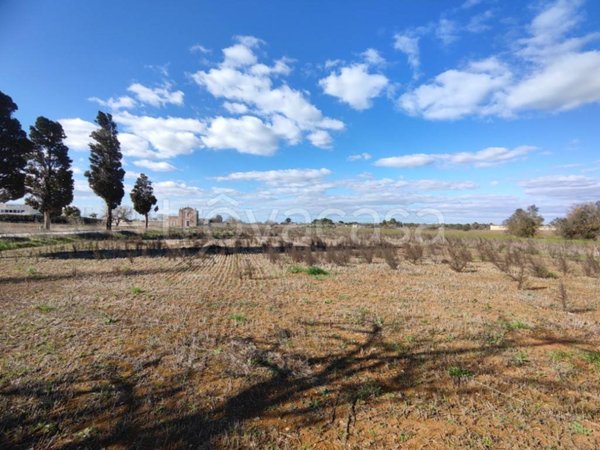 terreno agricolo in vendita a Surano
