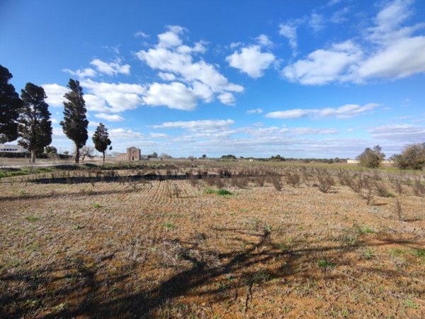 negozio in vendita a Surano