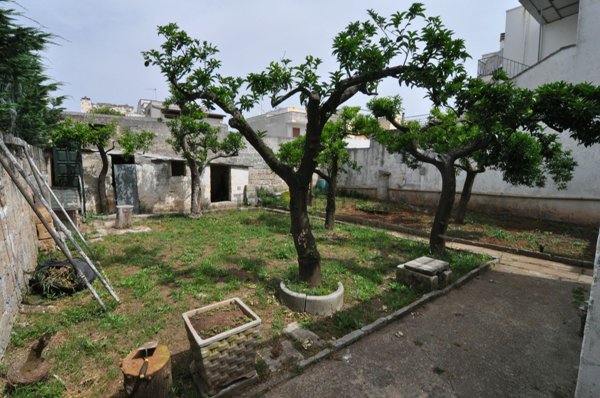 casa indipendente in vendita a Surano
